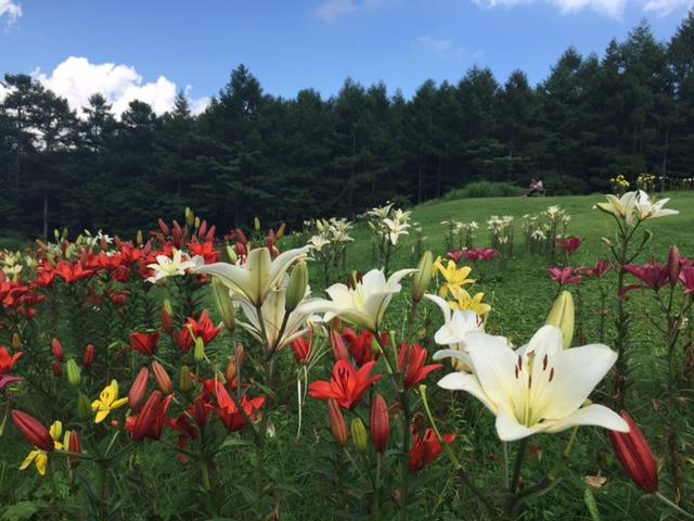 花庵ブログ 花時間 日光 中禅寺湖温泉の宿 ホテル花庵