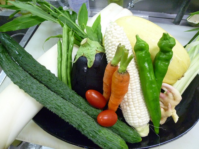 夏野菜1
