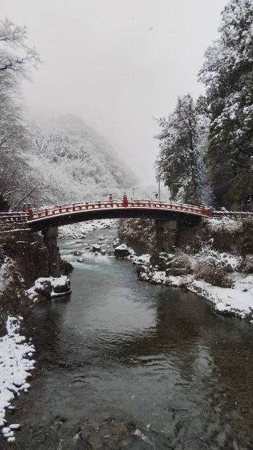 大雪となりました