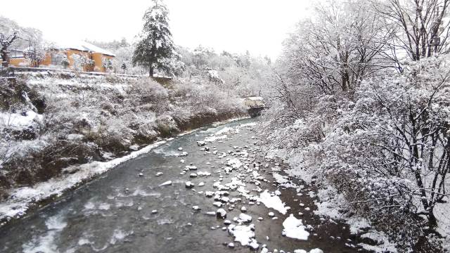 大雪となりました