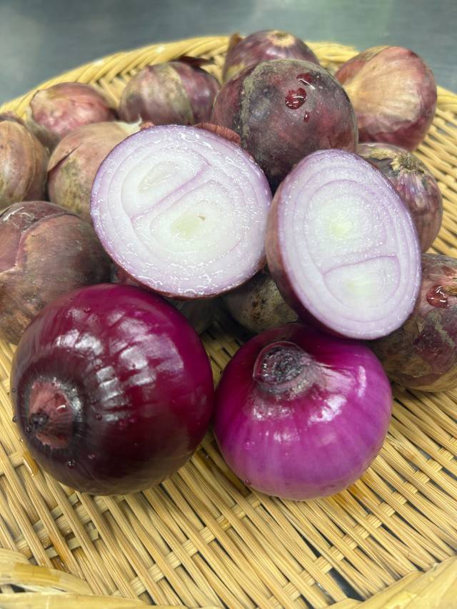 季節の野菜のご紹介
