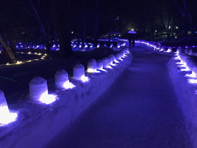 奥日光湯元温泉雪まつり2019