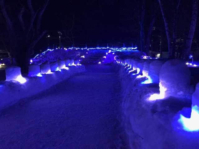 奥日光湯元温泉雪まつり2019