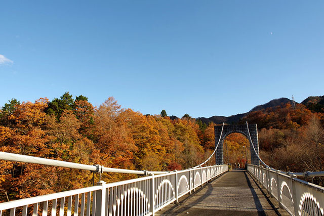 日光社寺エリア紅葉　