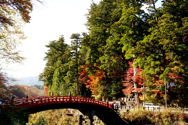 日光社寺エリア紅葉　