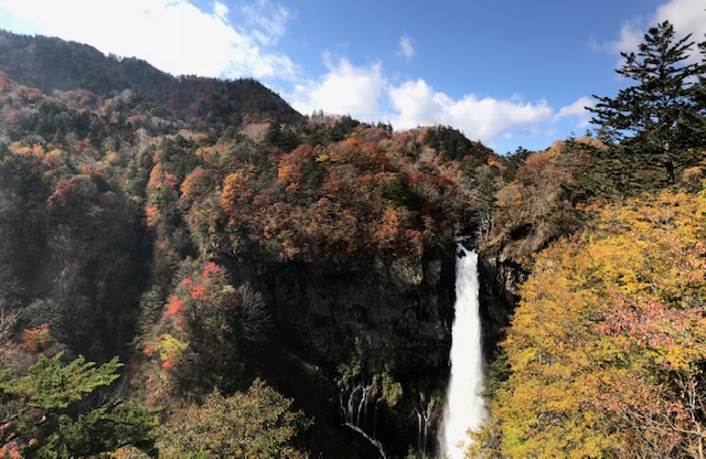 10/28　紅葉状況★