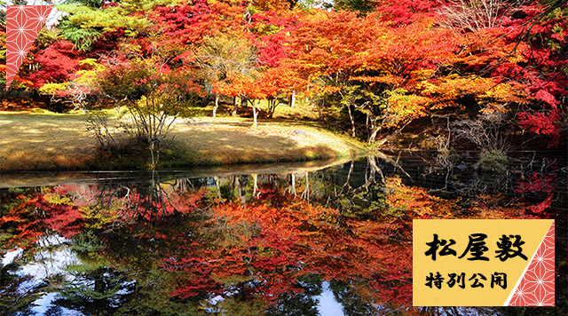 特別公開広大な庭園で紅葉散歩～松屋敷～