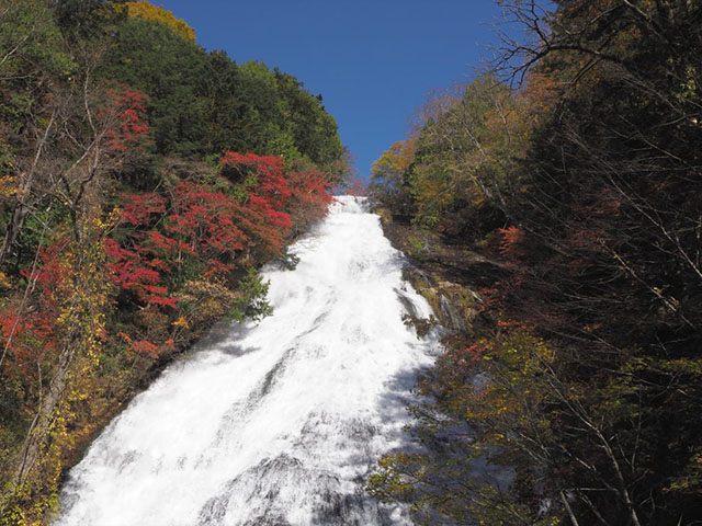 紅葉情報　10/21