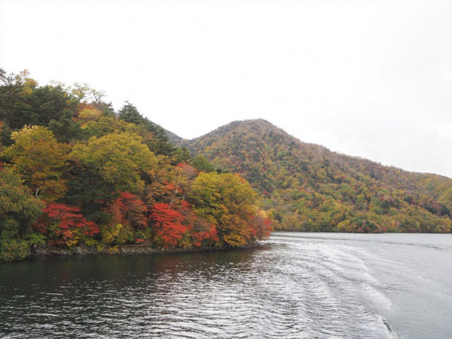 紅葉情報　10/21