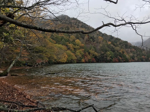 10月12日　奥日光紅葉状況★