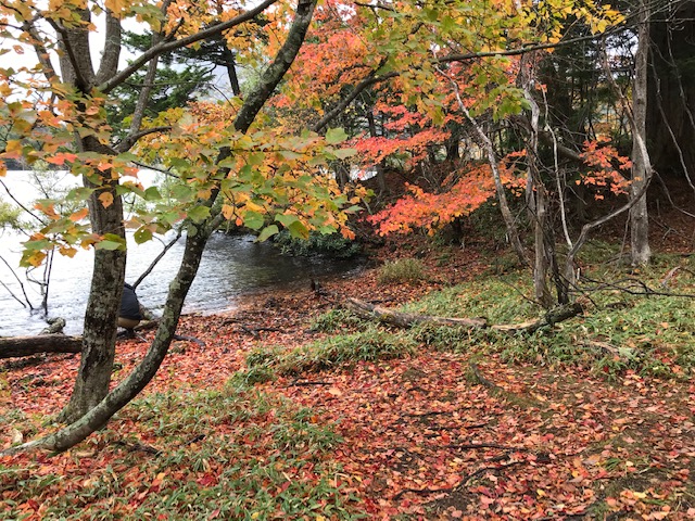 10月12日　奥日光紅葉状況★