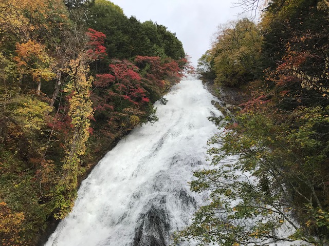 10月12日　奥日光紅葉状況★