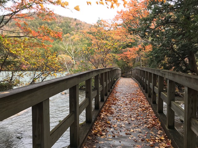 10月12日　奥日光紅葉状況★