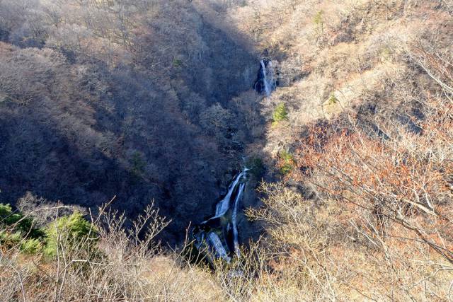 まもなく春♪日光花便り