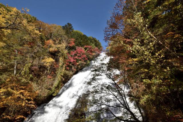 東武鉄道日光線運転再開・日光紅葉状況