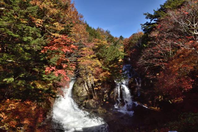 東武鉄道日光線運転再開・日光紅葉状況