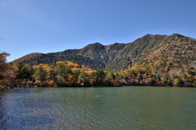 東武鉄道日光線運転再開・日光紅葉状況