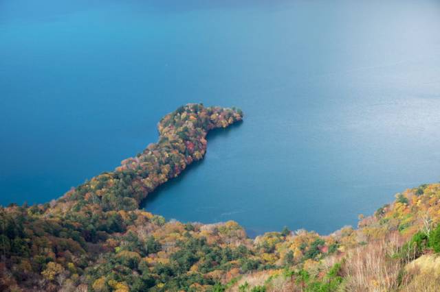 中禅寺湖畔紅葉状況(10/30時点)