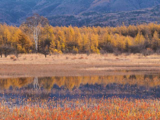 中禅寺湖畔紅葉状況(10/30時点)