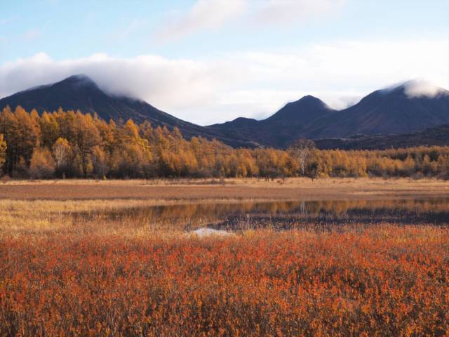 中禅寺湖畔紅葉状況(10/30時点)