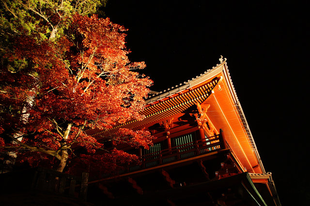 日光社寺エリアイベント