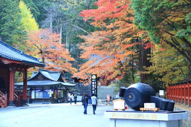 日光東照宮周辺　紅葉見頃に