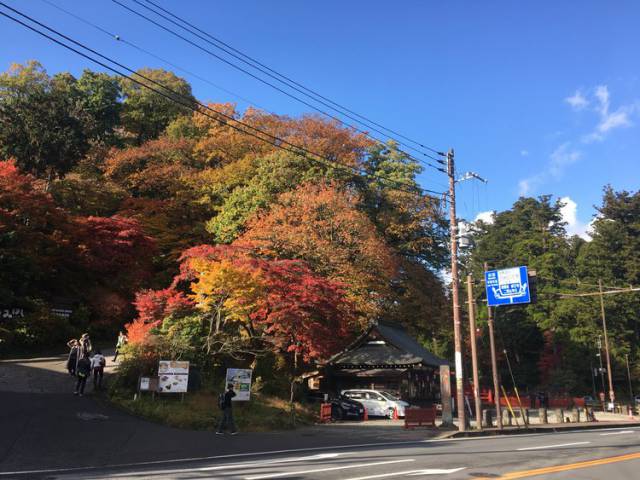 日光東照宮周辺　紅葉見頃に