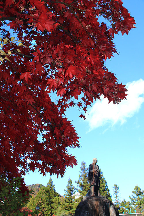 日光東照宮周辺　紅葉見頃に