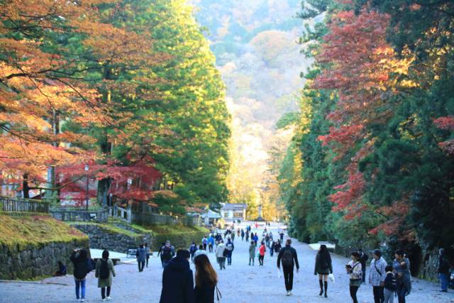 日光東照宮周辺　紅葉見頃に