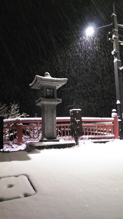 今年初の積雪