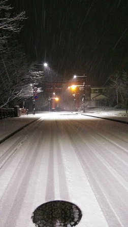 今年初の積雪