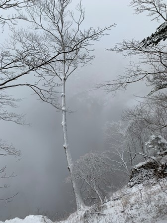 久しぶりの積雪