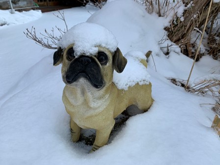 久しぶりの積雪