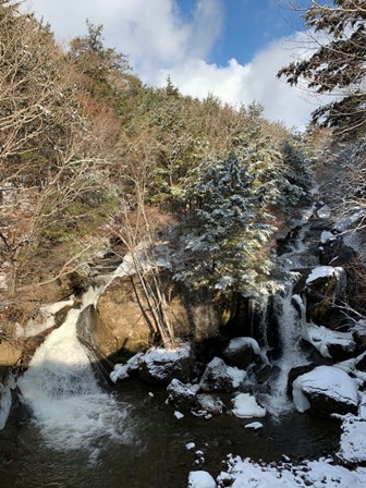 久しぶりの積雪