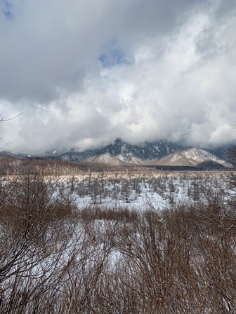 久しぶりの積雪