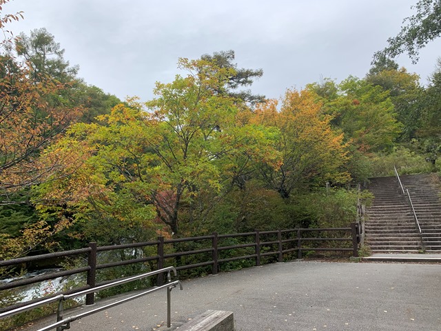 中禅寺湖周辺紅葉状況について