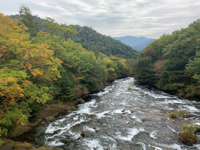 中禅寺湖周辺紅葉状況について