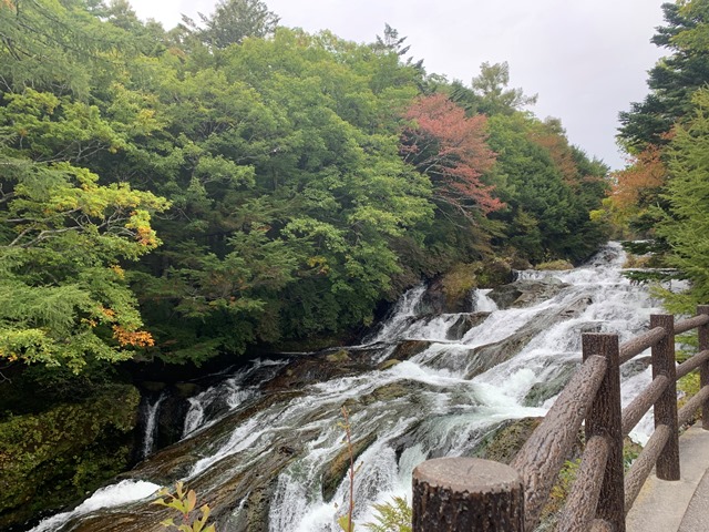 中禅寺湖周辺紅葉状況について