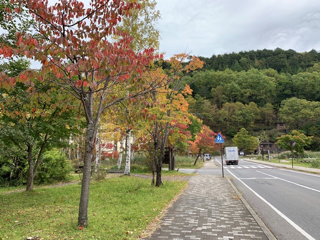 中禅寺湖周辺紅葉状況について