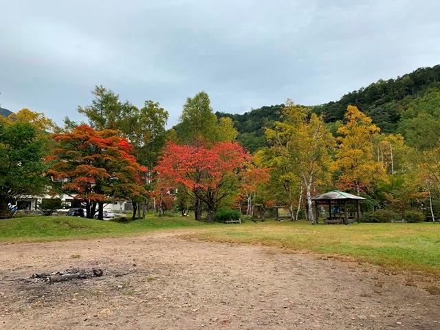 中禅寺湖周辺紅葉状況について