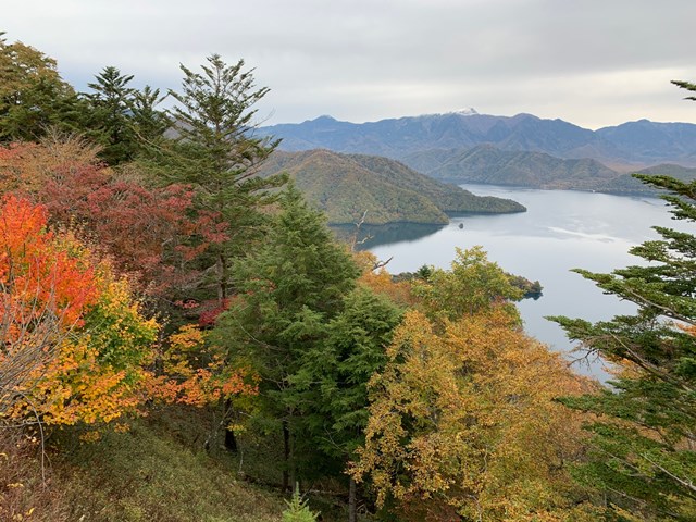 中禅寺湖展望台～半月山展望台の紅葉