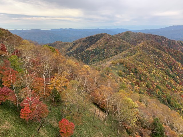 中禅寺湖展望台～半月山展望台の紅葉