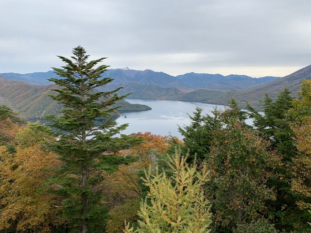 中禅寺湖展望台～半月山展望台の紅葉