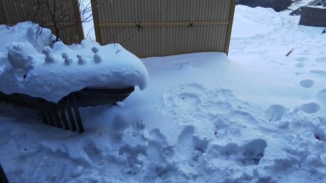 密かな場所に雪だるまが..！