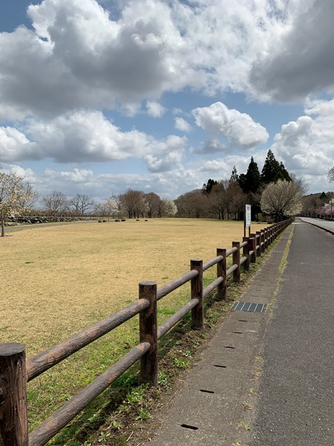 日光だいや川公園のお花が満開でした