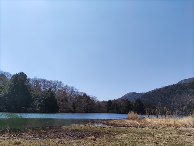 湯の湖・戦場ヶ原へ行ってきました！