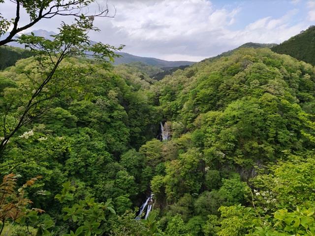 霧降高原つつじが丘へ行ってきました！