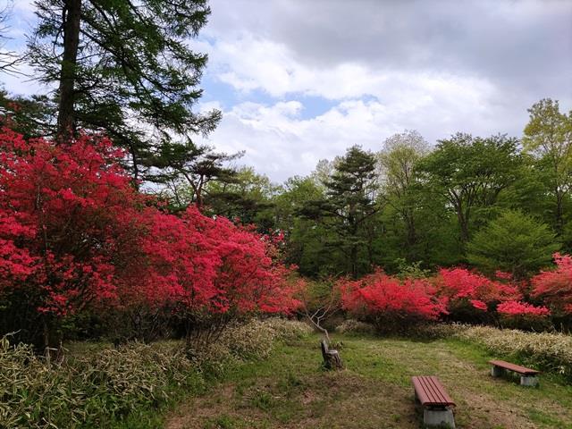 霧降高原つつじが丘へ行ってきました！