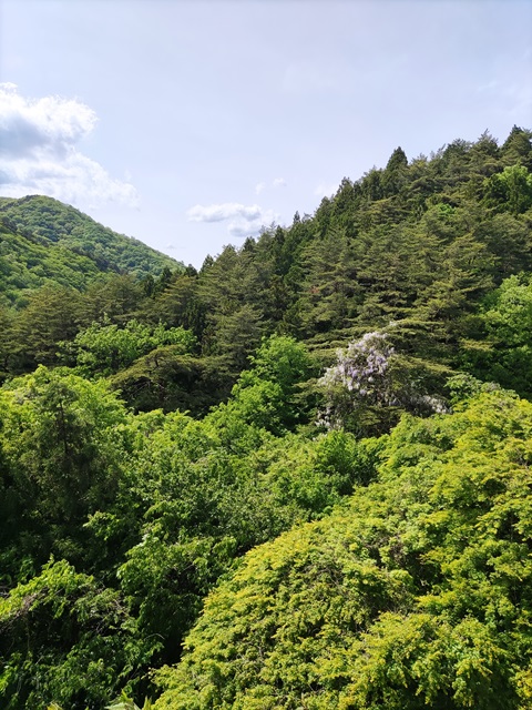 鬼怒川にある龍王峡へ行ってきました！