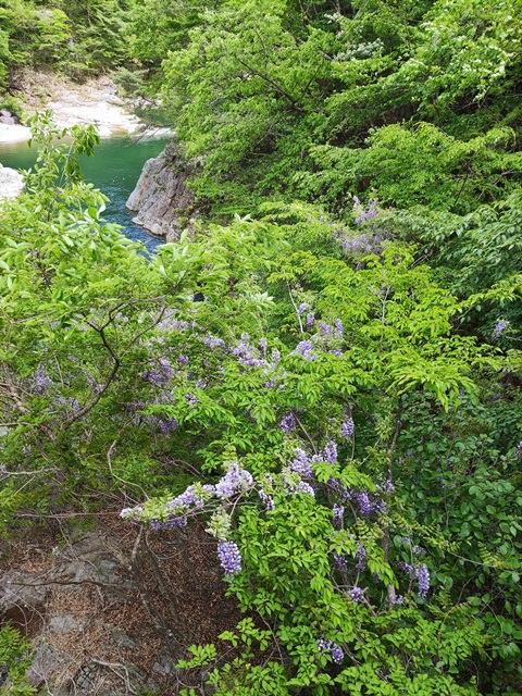 鬼怒川にある龍王峡へ行ってきました！